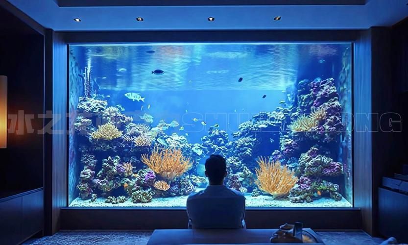 客廳魚缸效果圖大全 龍魚百科 第18張 客廳魚缸效果圖大全 客廳魚缸效果圖大全 龍魚百科 第18張