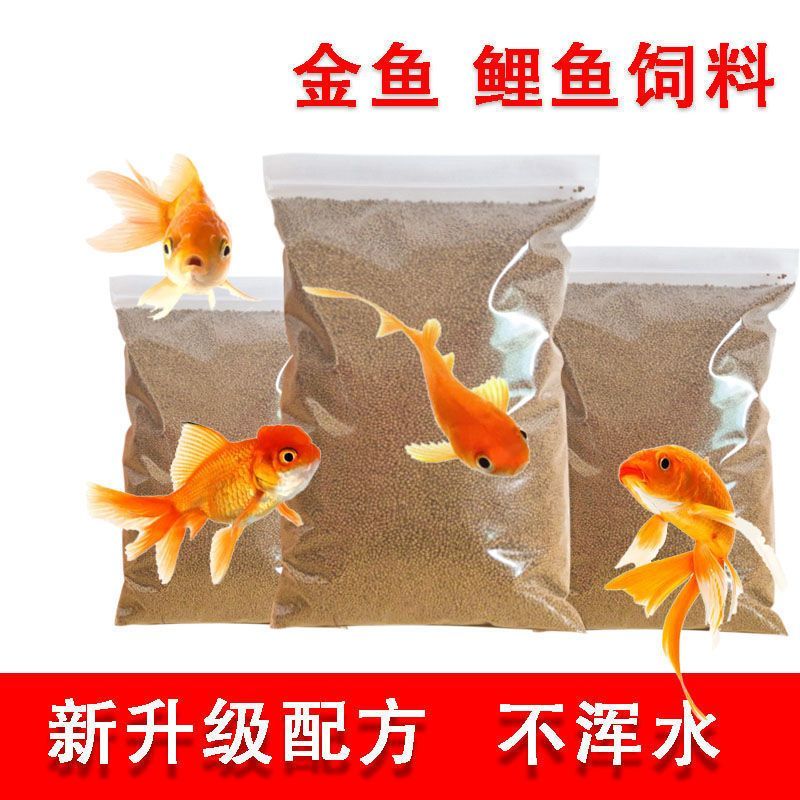觀賞魚專用餌料品牌推薦：觀賞魚餌料營養(yǎng)魚專用餌料選擇