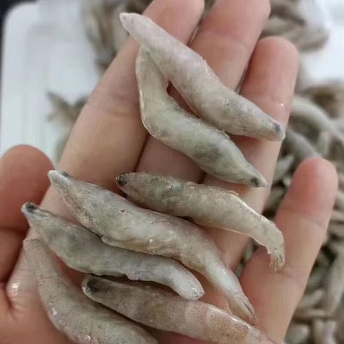 有哪些食物有助于金龍發色？