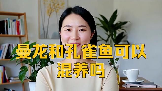孔雀魚曼龍魚能混養嗎