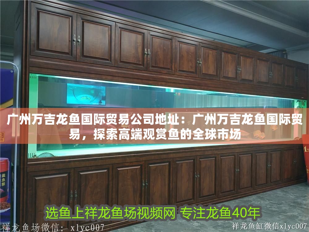 廣州萬吉龍魚國際貿易公司地址：廣州萬吉龍魚國際貿易，探索高端觀賞魚的全球市場