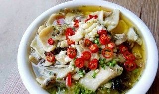 黑龍魚怎么做好吃又簡單：黑龍魚怎么做好吃又簡單_黑龍魚怎么做好吃