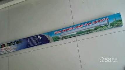 昆明龍魚市場營業時間（昆明龍魚市場的營業時間是多久？）