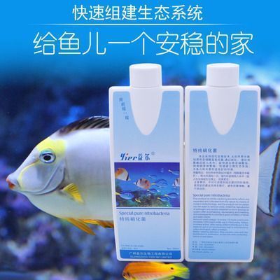 龍魚可不可以和戰船混養，龍魚和戰船魚是否能混養，實際操作中存在一些風險和挑戰