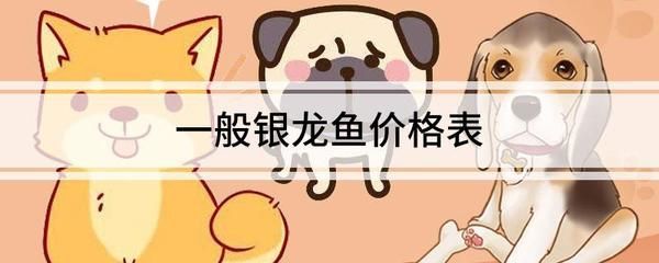 40厘米銀龍魚價(jià)格表圖片（40公分銀龍魚什么價(jià)格360問答）