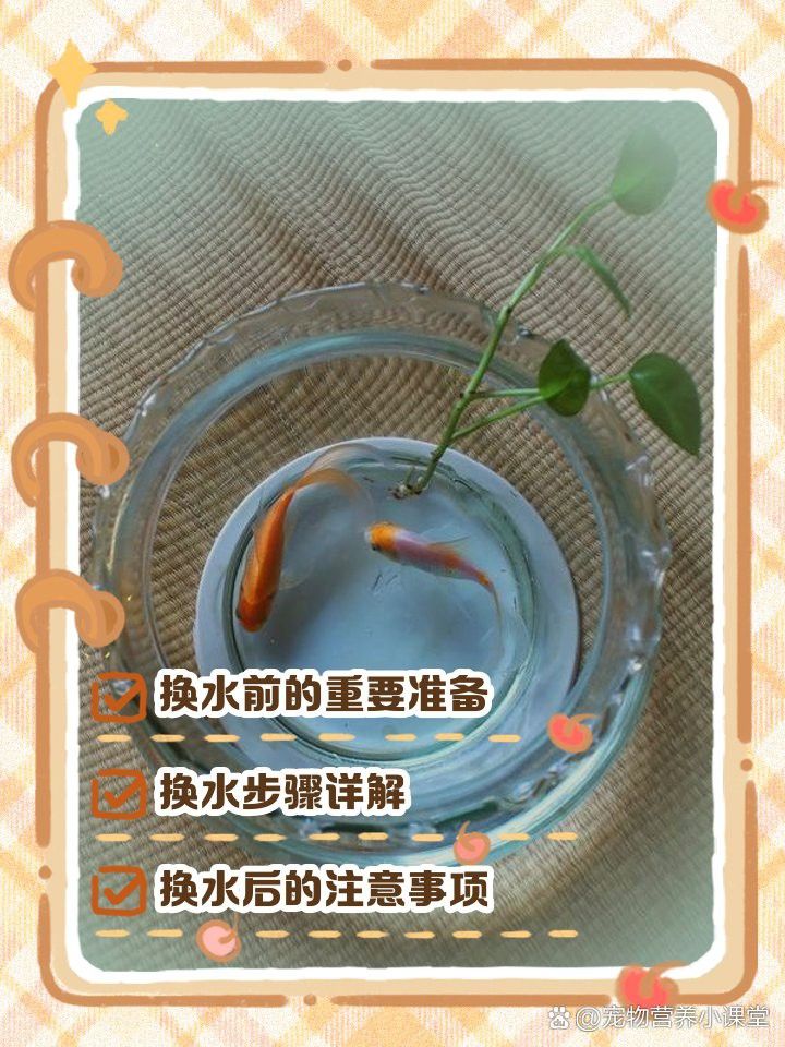 金頭龍魚換水時需要清洗魚缸嗎？