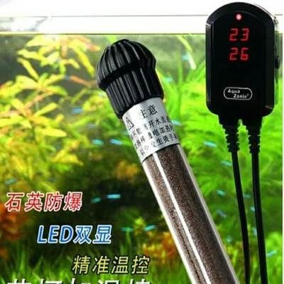 養龍魚加熱棒30度可以不：養龍魚是否需要加熱棒以及加熱棒應該設置的溫度 養龍魚加熱棒30度可以不：養龍魚是否需要加熱棒以及加熱棒應該設置的溫度 龍魚百科 第1張