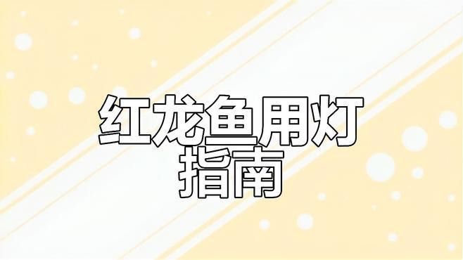 如何判斷紅龍魚是否適應當前光照？