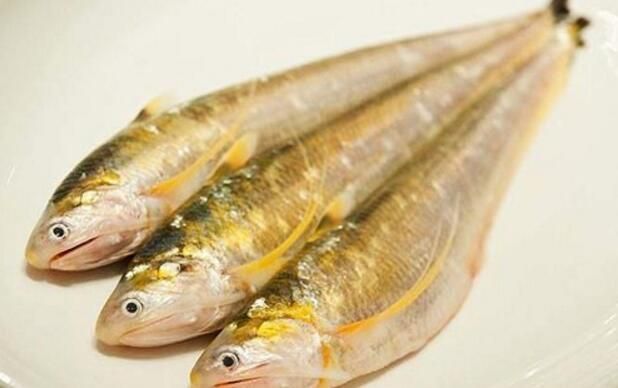 刀魚適宜人群及食用建議，刀魚與三高的關(guān)系，刀魚的烹飪技巧， 刀魚適宜人群及食用建議，刀魚與三高的關(guān)系，刀魚的烹飪技巧， 龍魚百科 第1張