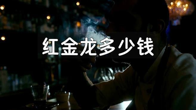 紅金龍香煙哪個(gè)型號最受歡迎？
