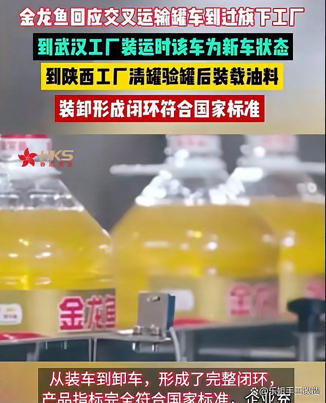 有哪些專業的金龍魚運輸服務？