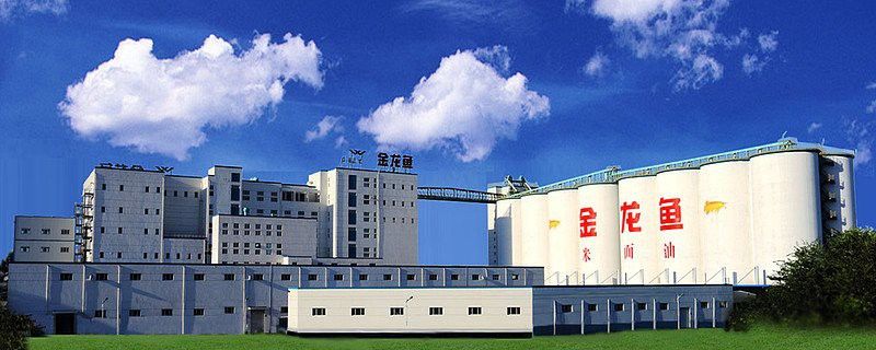 金龍魚加工廠在什么地方啊