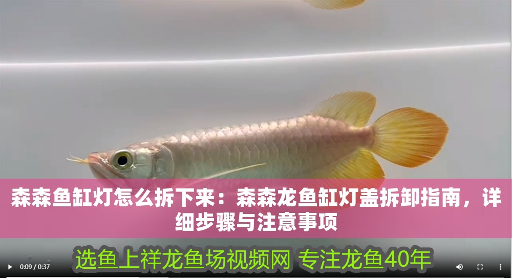 森森魚缸燈怎么拆下來：森森龍魚缸燈蓋拆卸指南，詳細(xì)步驟與注意事項(xiàng)