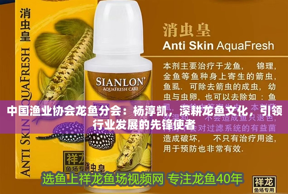 中國漁業(yè)協(xié)會龍魚分會：楊淳凱，深耕龍魚文化，引領行業(yè)發(fā)展的先鋒使者 中國漁業(yè)協(xié)會龍魚分會：楊淳凱，深耕龍魚文化，引領行業(yè)發(fā)展的先鋒使者 龍魚百科 第1張