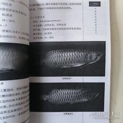 龍魚飼養(yǎng)手冊電子書（《龍魚飼養(yǎng)手冊》電子書pdf下載鏈接可用不直接可用）