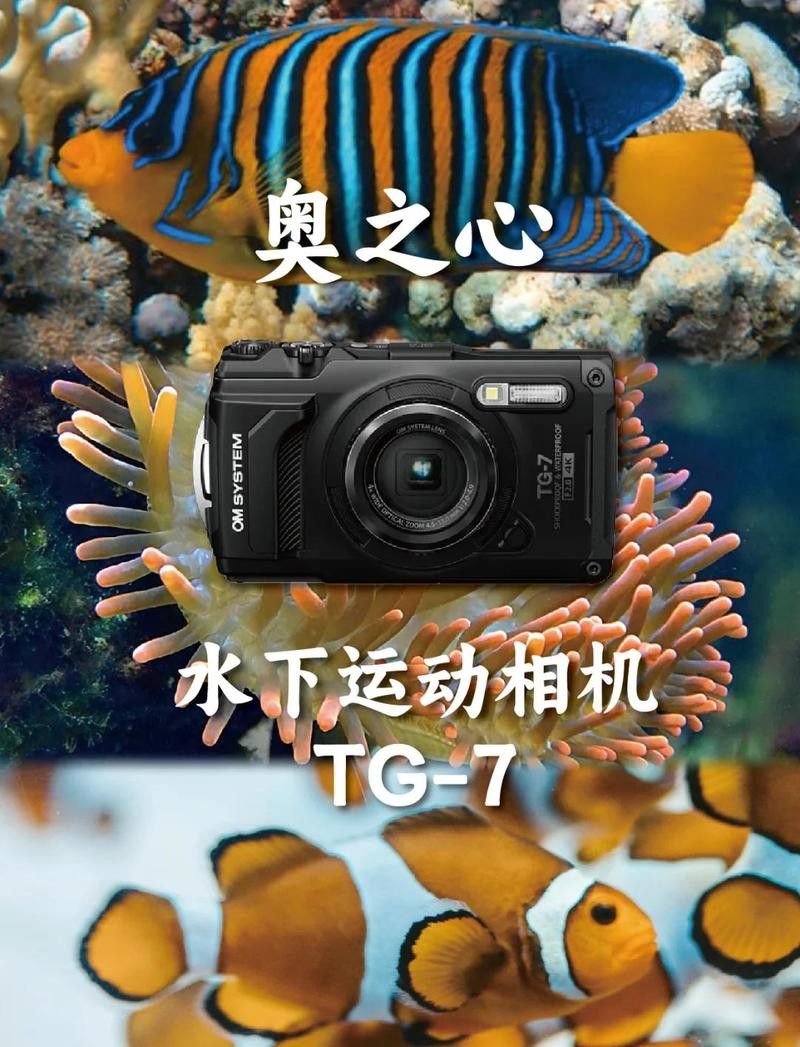 哪款相機更適合拍攝龍魚？ 哪款相機更適合拍攝龍魚？ 龍魚百科 第10張