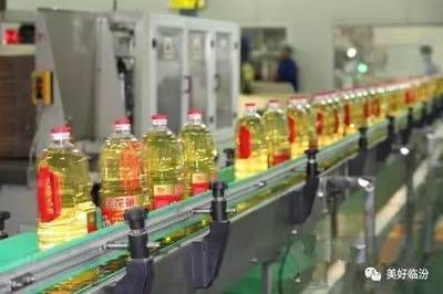 金龍魚怎么生產：金龍魚的生產過程