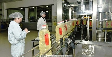 金龍魚怎么生產：金龍魚的生產過程