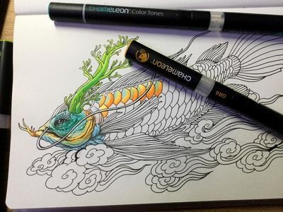 龍魚速寫:龍魚速寫的基本知識 龍魚百科 第1張 龍魚速寫:龍魚速寫的基本知識 龍魚速寫:龍魚速寫的基本知識 龍魚百科 第1張