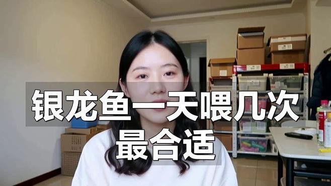 銀龍魚三天喂一次可以嗎？