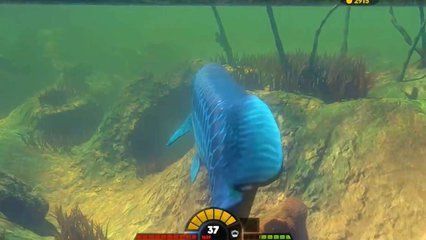 藍(lán)色金龍魚(yú)大獵殺（《海底大獵殺》海底大獵殺戰(zhàn)斗策略分享海底大獵殺戰(zhàn)斗策略分享）