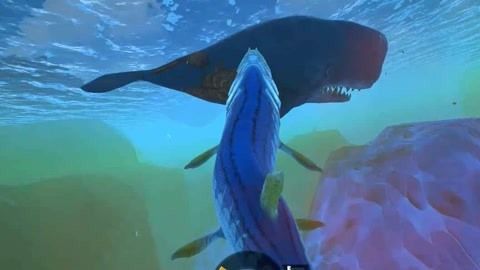 藍(lán)色金龍魚(yú)大獵殺（《海底大獵殺》海底大獵殺戰(zhàn)斗策略分享海底大獵殺戰(zhàn)斗策略分享）