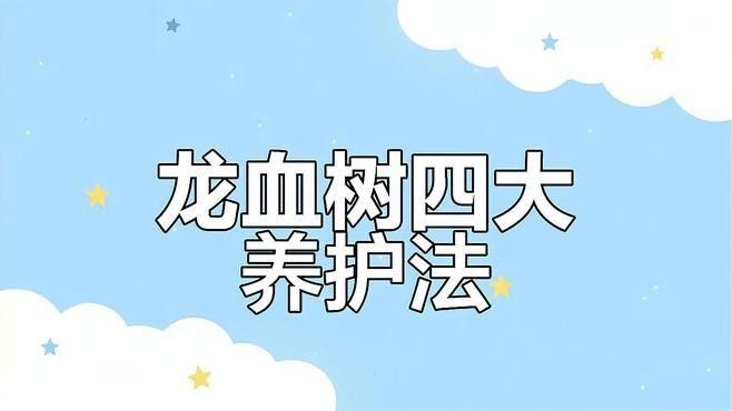龍血樹澆水的最佳時間 龍血樹澆水的最佳時間 龍魚百科 第3張