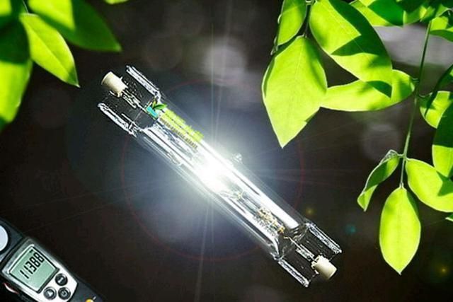 如何選擇觀賞魚專用燈具？：plus日月三基色紅龍魚專用燈具需要綜合考慮多個因素 如何選擇觀賞魚專用燈具？：plus日月三基色紅龍魚專用燈具需要綜合考慮多個因素 龍魚百科 第3張