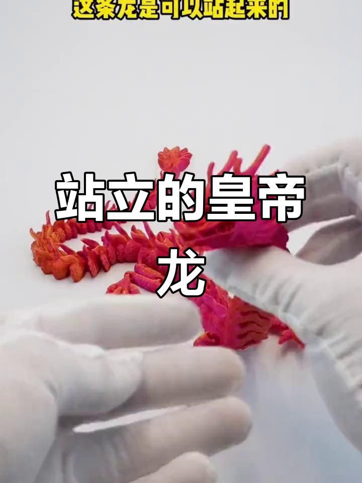 哪種龍蝦的肉質(zhì)最好？