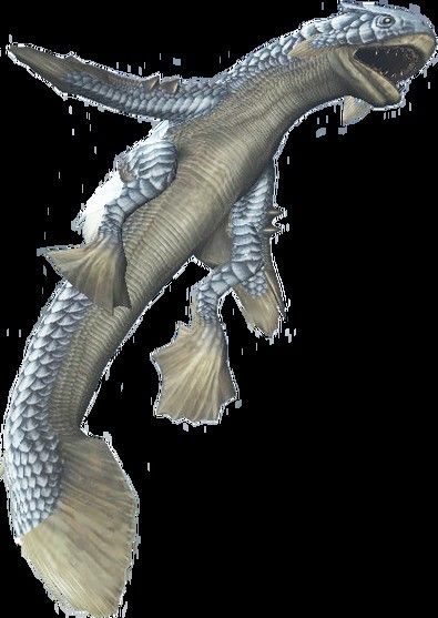金銀龍魚圖片