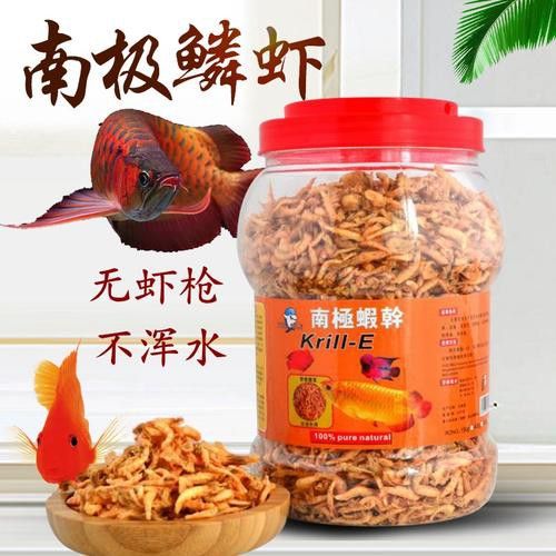 金銀龍魚圖片