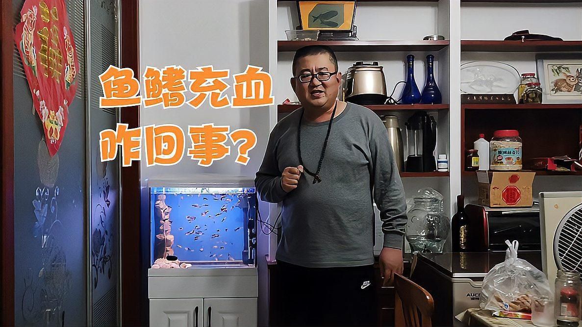 如何判斷魚充血的原因？