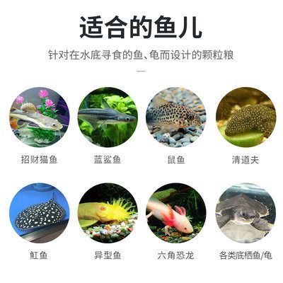 六角恐龍魚飼料下沉的好還是上浮的好，六角恐龍魚幼魚飼料選擇