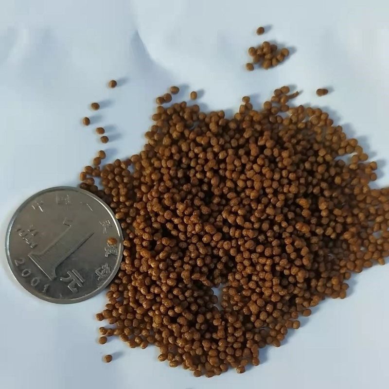 六角恐龍魚飼料下沉的好還是上浮的好，六角恐龍魚幼魚飼料選擇