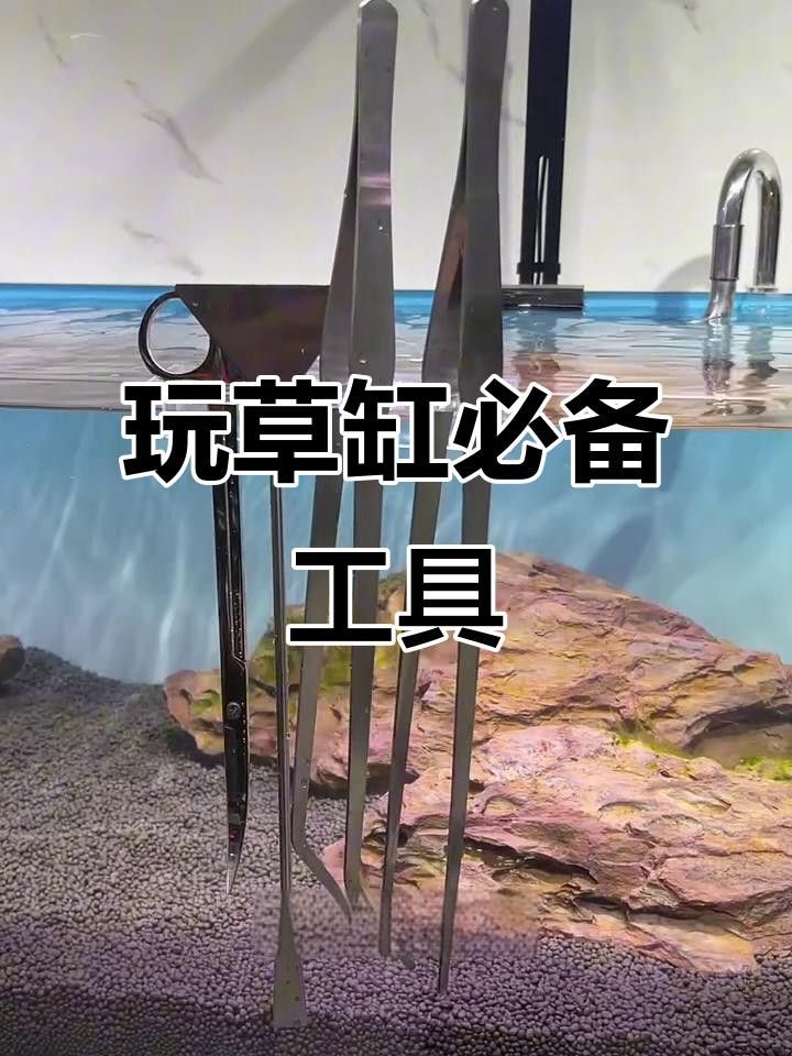 修剪水草時需要注意哪些事項？