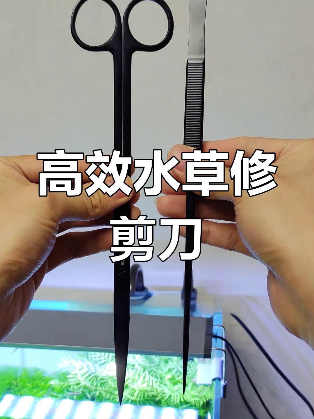 修剪水草時需要注意哪些事項？