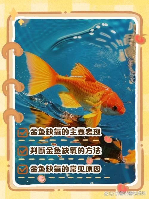 金龍魚嘴巴一直張開
