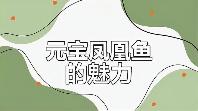 祥龍魚場觀賞魚圖片大全高清 祥龍魚場觀賞魚圖片大全高清 龍魚百科 第21張