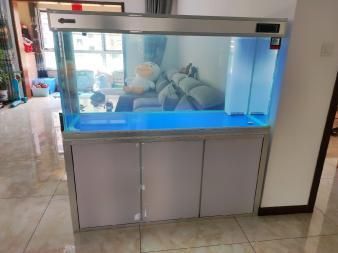 龍魚缸過濾系統安裝順序？（龍魚缸過濾系統安裝方法） 龍魚缸過濾系統安裝順序？（龍魚缸過濾系統安裝方法） 龍魚百科 第4張