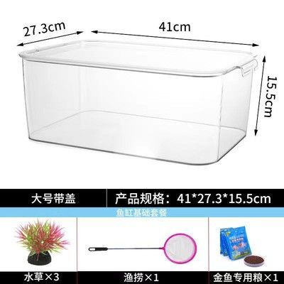 恐龍魚適合在多大的缸里養，關于恐龍魚適合的水族缸尺寸的信息
