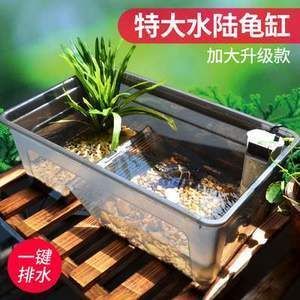恐龍魚適合在多大的缸里養，關于恐龍魚適合的水族缸尺寸的信息