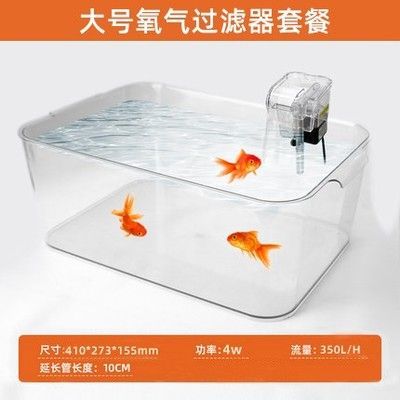 恐龍魚適合在多大的缸里養，關于恐龍魚適合的水族缸尺寸的信息