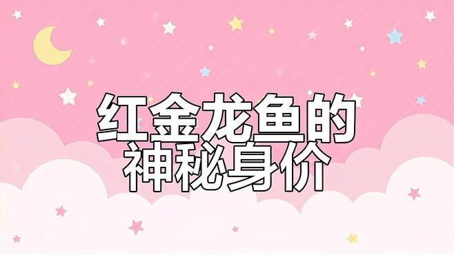 高端紅金龍魚有哪些收藏價(jià)值？