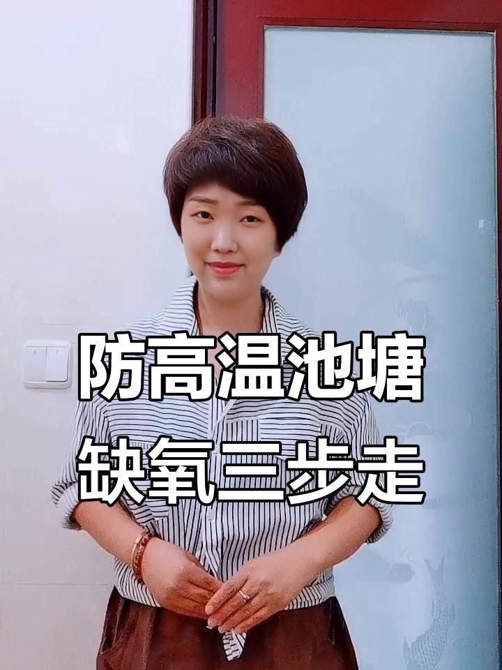 如何預防魚缺氧？ 如何預防魚缺氧？ 龍魚百科 第1張