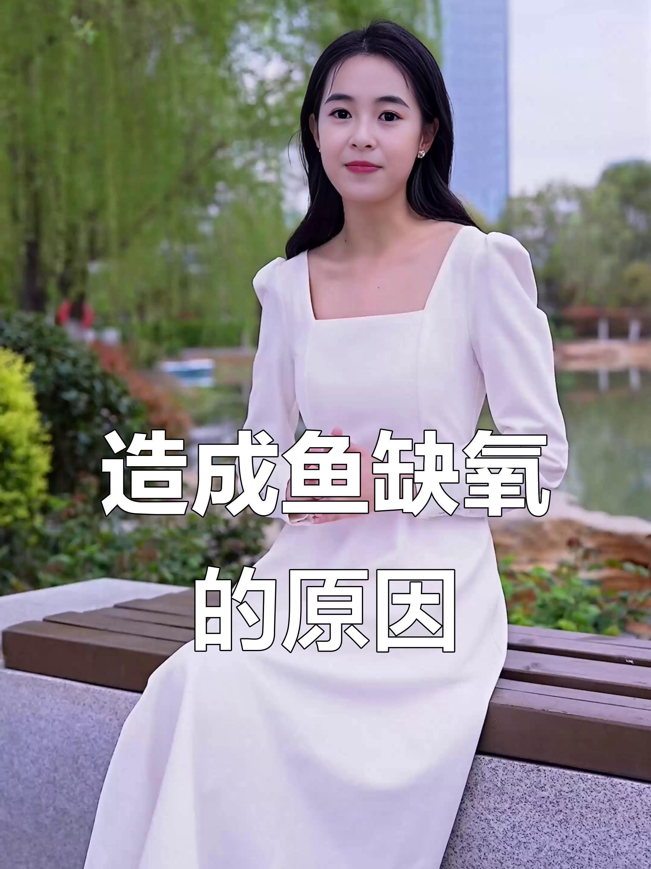 如何預防魚缺氧？ 如何預防魚缺氧？ 龍魚百科 第4張