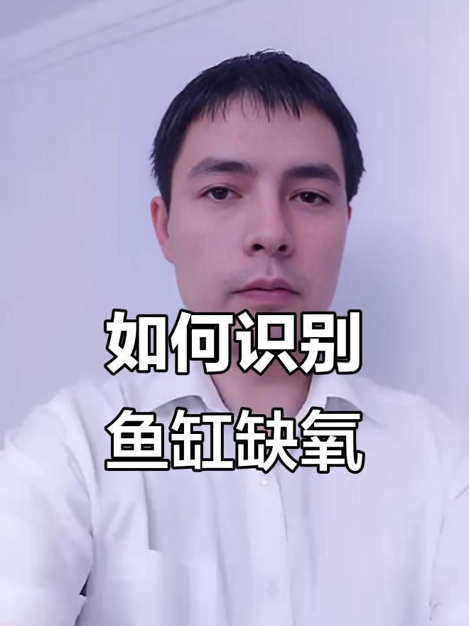 如何預防魚缺氧？ 如何預防魚缺氧？ 龍魚百科 第7張