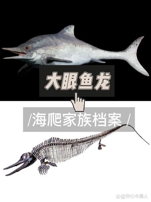 海龍魚的照片圖片 海龍魚的照片圖片 龍魚百科 第10張