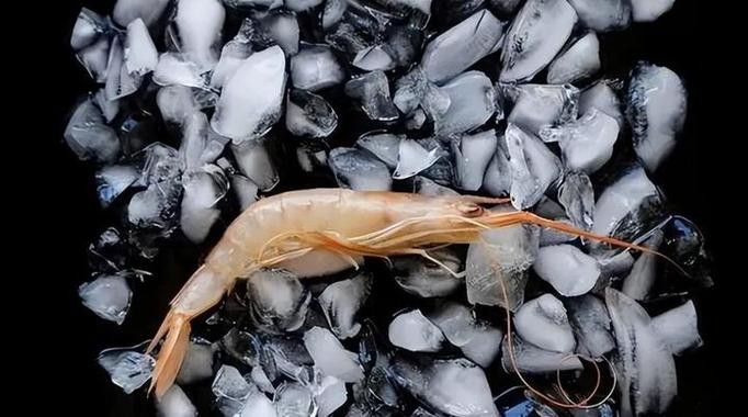 六角龍魚(yú)飼料推薦