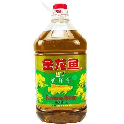 龍魚很貴嗎：影響龍魚價格的因素