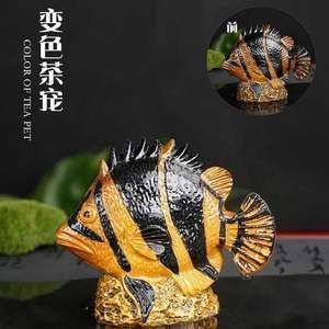 金龍魚變色的階段有哪些：金龍魚發(fā)色的幾個(gè)關(guān)鍵階段